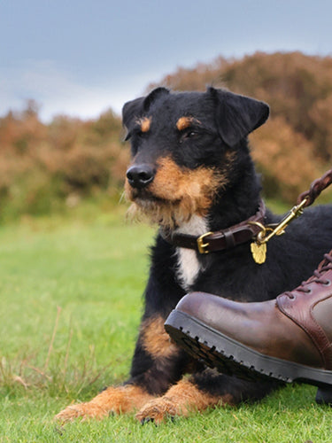 Cheap equestrian shops online online