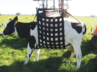 Shoof Cow Lifter Liftease Complete| Online For Equine