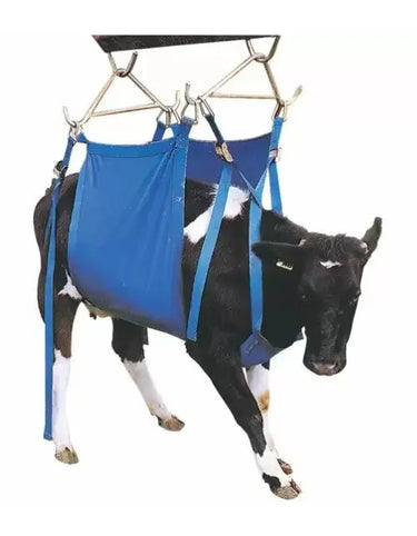 Shoof Daisy Lifter Heavy Duty Xl| Online For Equine