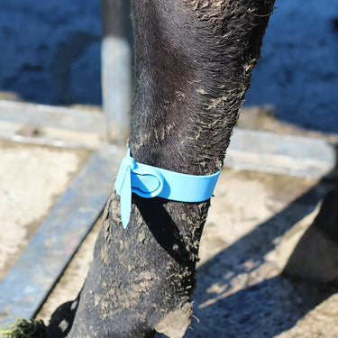 Shoof Mk2 Quick Leg Strap| Online For Equine