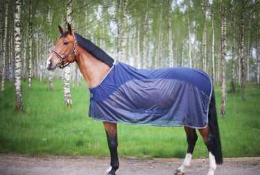 Bucas Show-Line Competition Cooler Rug