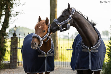 Bucas Show-Line Fleece 400g Rug