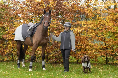 Silva Flash Waterproof Padded Jacket by Hy Equestrian| Online For Equine