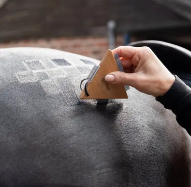 Smart Grooming All in One Quarter Marking Comb| Online For Equine