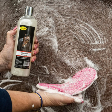Smart Grooming Citronella Shampoo| Online For Equine