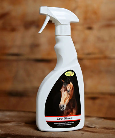 Smart Grooming Coat Sheen| Online For Equine