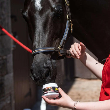 Smart Grooming Enhancing Gloss 150g| Online For Equine