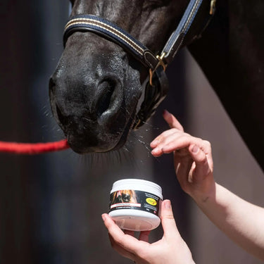 Smart Grooming Enhancing Gloss 150g| Online For Equine