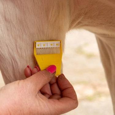 Smart Grooming Equishave Single| Online For Equine