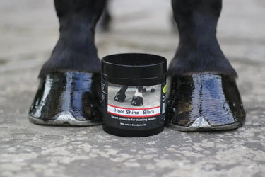 Buy Smart Grooming Hoof Shine| Online for Equine