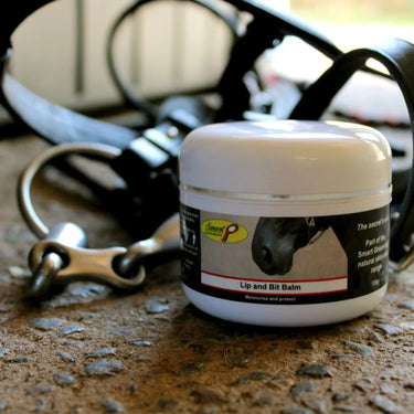 Buy Smart Grooming Lip And Bit Balm| Online for Equine