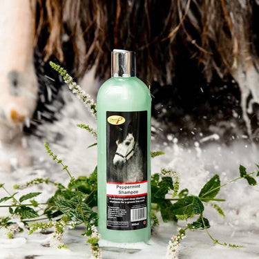 Smart Grooming Peppermint Shampoo| Online For Equine
