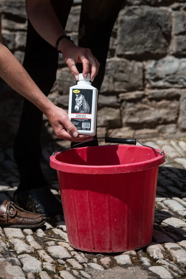 Smart Grooming Peppermint Splosh Wash| Online For Equine