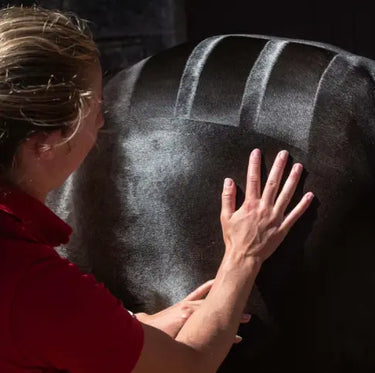 Smart Grooming Quarter Marking Gel| Online For Equine