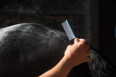 Smart Grooming Smart Grooming Hunter Marking Comb| Online For Equine