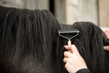 Smart Grooming Smart Manes| Online For Equine