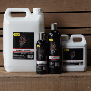 Smart Grooming Strawberry Shampoo| Online For Equine