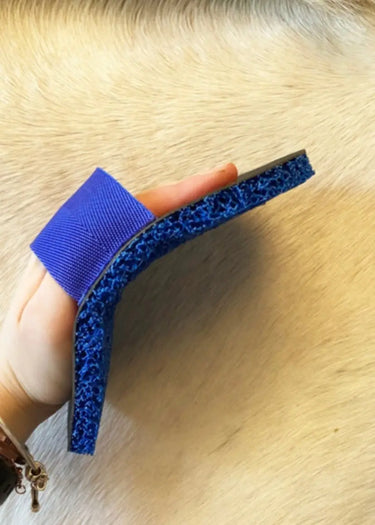 Buy Digby & Fox Bandana | Online for Equine