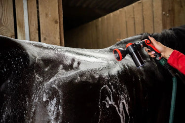 Smart Grooming Ultimate Wash Gun| Online For Equine