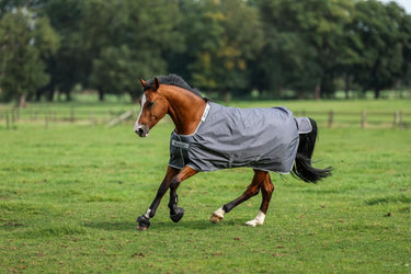 Bucas Smartex Rain Horse Rug Iron Gate