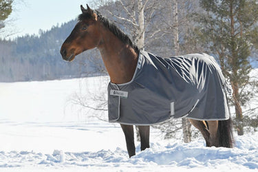 Bucas Smartex Extra Heavyweight Turnout Rug Iron Gate
