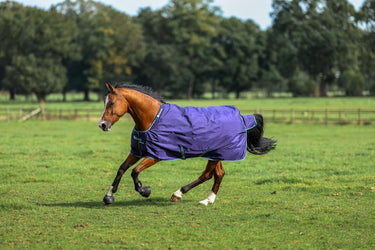 Bucas Smartex Rain Horse Rug Blue