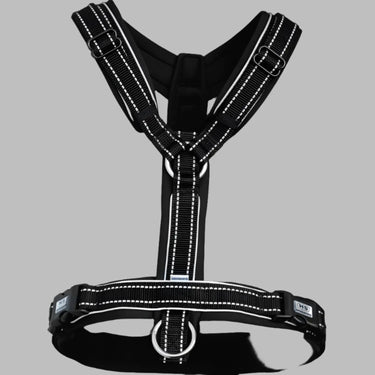 Buy Sprenger Black Foal Harness| Online for Equine