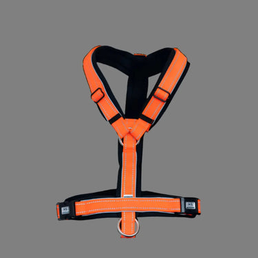 Buy the Sprenger Orange Foal Harness | Online for Equine