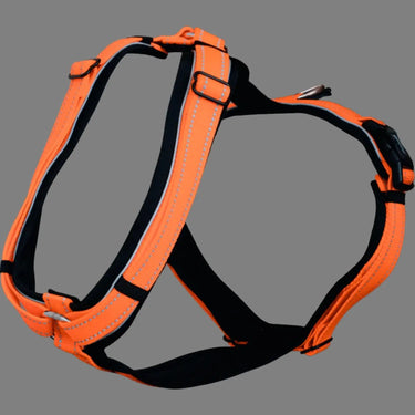 Buy the Sprenger Orange Foal Harness | Online for Equine