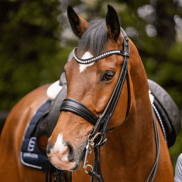 Buy Sprenger Sensogan Bemelmans Weymouth Bit| Online for Equine