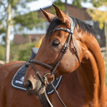 Buy Sprenger Sensogan Dynamic RS Double Jointed Eggbutt Snaffle Bit| Online for Equine
