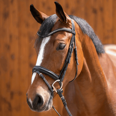Buy Sprenger Sensogan Dynamic RS Double Jointed Eggbutt Snaffle Bit| Online for Equine