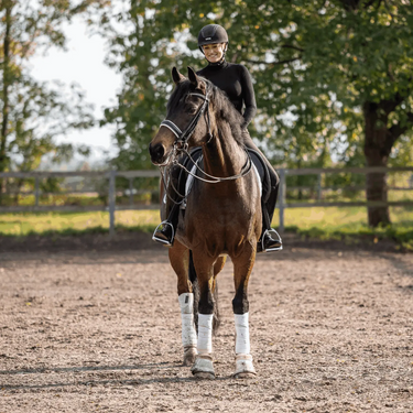 Buy Sprenger Sensogan HO Weymouth Bit| Online for Equine