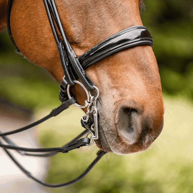 Buy Sprenger Sensogan KK Dressage Weymouth Bit| Online for Equine