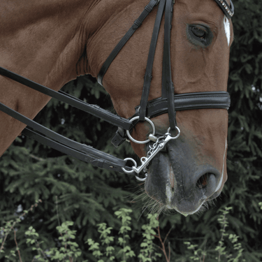 Buy Sprenger Sensogan KK Ultra Loose Ring Snaffle Bit | Online for Equine