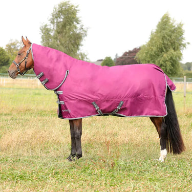 StormX Empra 200 Combi Turnout Rug| Online For Equine