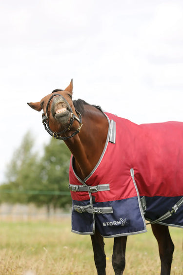 StormX Empra 200 Turnout Rug with Detachable Neck| Online For Equine