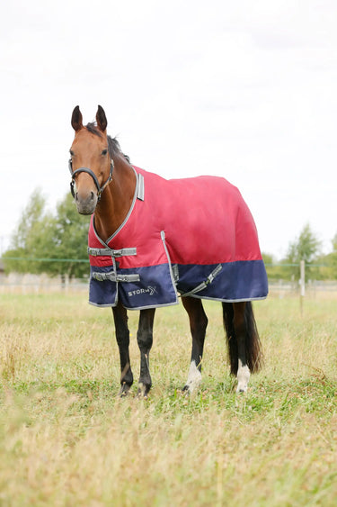 StormX Empra 200 Turnout Rug with Detachable Neck| Online For Equine