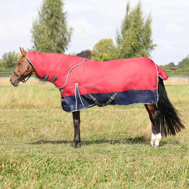 StormX Empra 200 Turnout Rug with Detachable Neck| Online For Equine