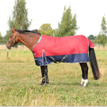 StormX Empra 200 Turnout Rug with Detachable Neck| Online For Equine