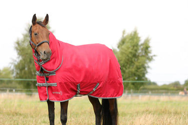 StormX Empra 300 Combi Turnout Rug| Online For Equine