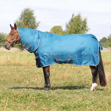 StormX Empra 50 Combi Turnout Rug| Online For Equine