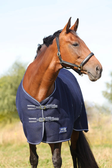 StormX Empra AirFlex 3D Rug| Online For Equine