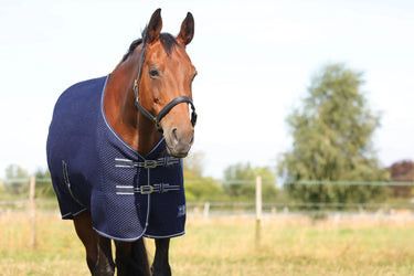 StormX Empra AirFlex 3D Rug| Online For Equine