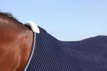 StormX Empra AirFlex 3D Rug| Online For Equine