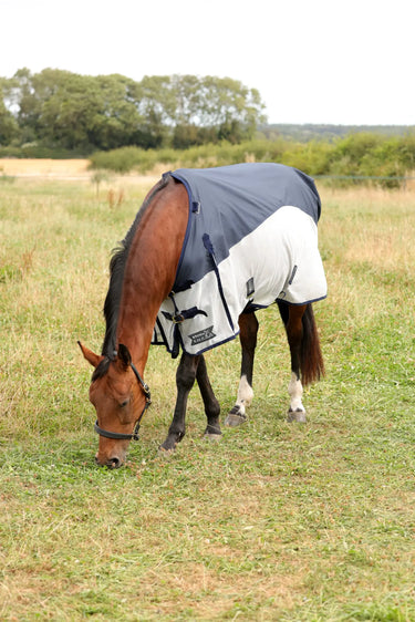 StormX Empra Aqua Shield Fly Rug| Online For Equine