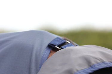 StormX Empra Aqua Shield Fly Rug| Online For Equine