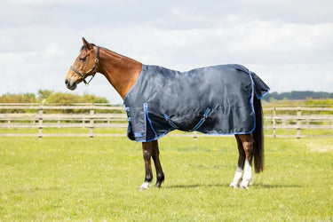 StormX Empra Extra 0g Turnout Rug