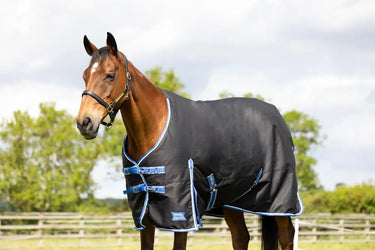 StormX Empra Extra 100g Turnout Rug| Online For Equine