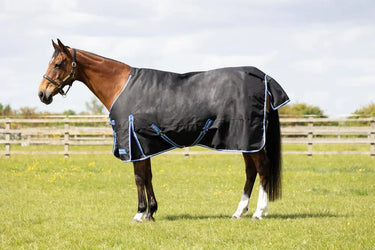 StormX Empra Extra 100g Turnout Rug| Online For Equine